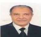 Prof. Dr.Ahmed G. Hegazi