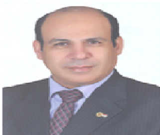  Dr. ELSAYED AHMED ELNASHAR